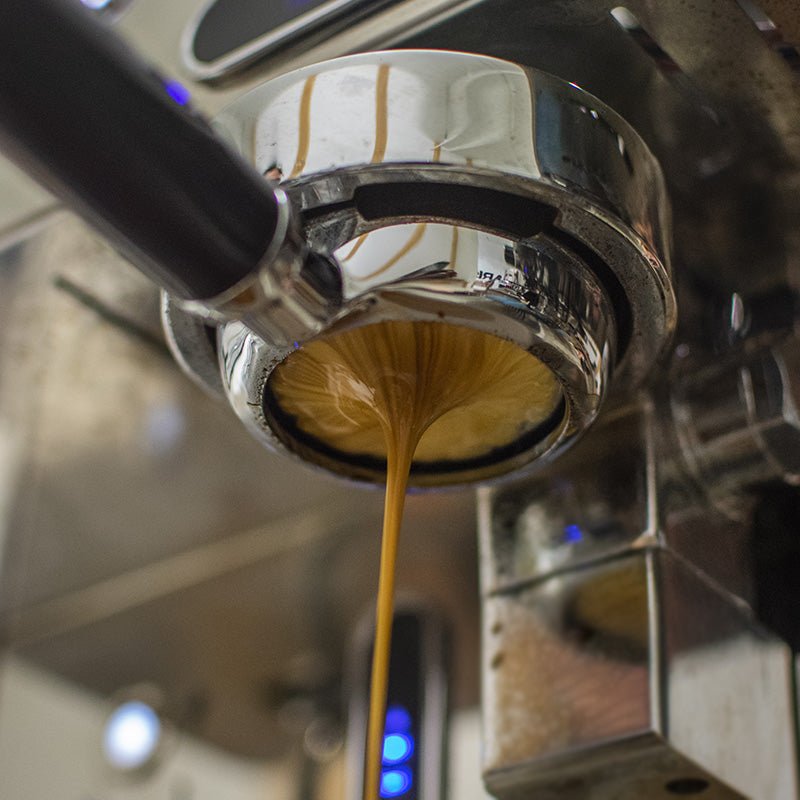 R-101 – Espresso 101 - Français - Formation - Cafe Barista